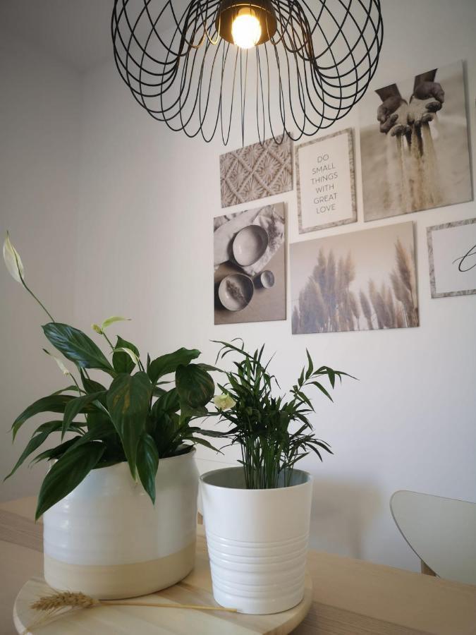 Apartamento Suite Arco De La Villa,Solo Familia Y Parejas,Parking Gratuito Conil De La Frontera Exterior photo